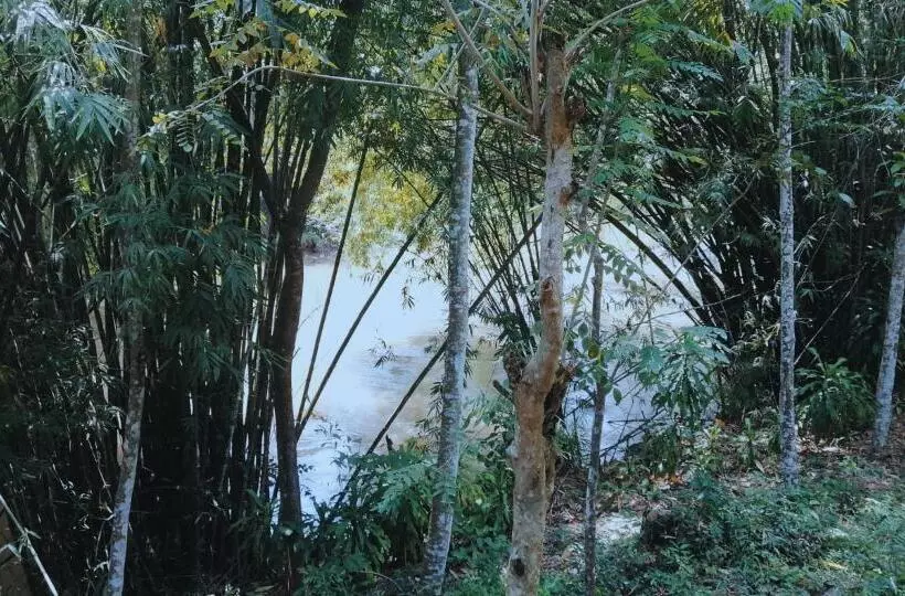 هتل Geeth Lanka River Resort