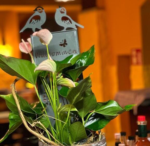 Пансион Gasthaus Hasen   Grill Masters