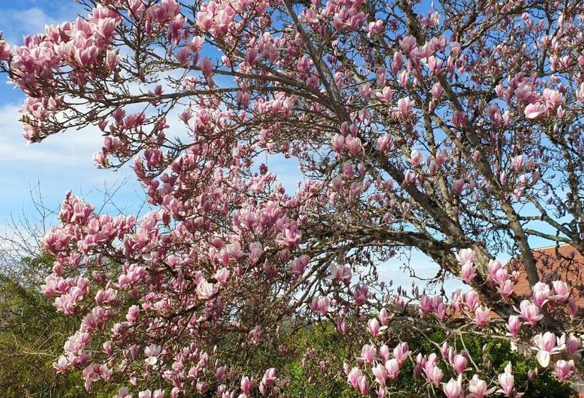 פנסיון La Maison Barent   Chambre Bergerac