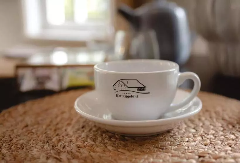 B&b Het Rijgebint