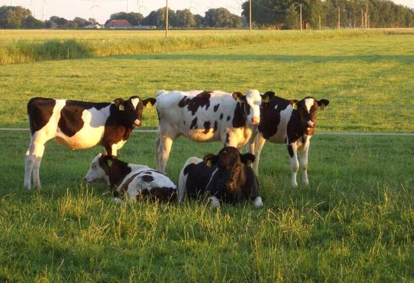 ホテル Ferienhof Mittag