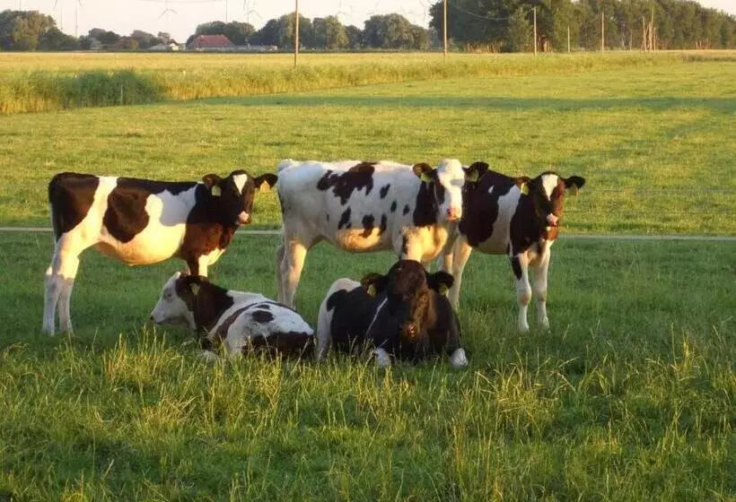 ホテル Ferienhof Mittag