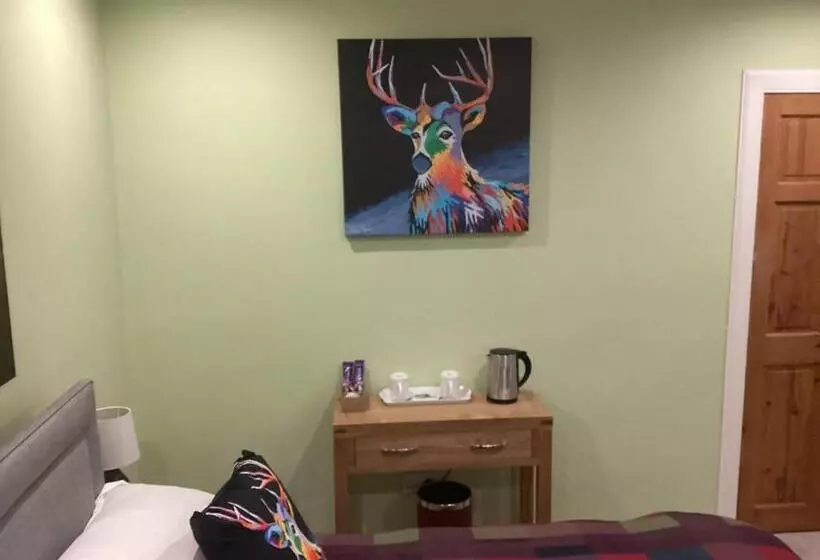 Taigh Sealladh Fèidh B&b