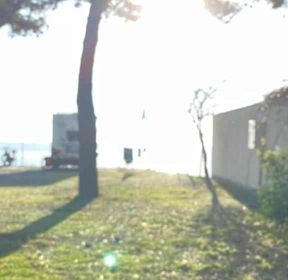 تختخواب و صبحانه La Casa Di Artemio