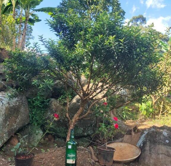 Hotel Papathi Farm House