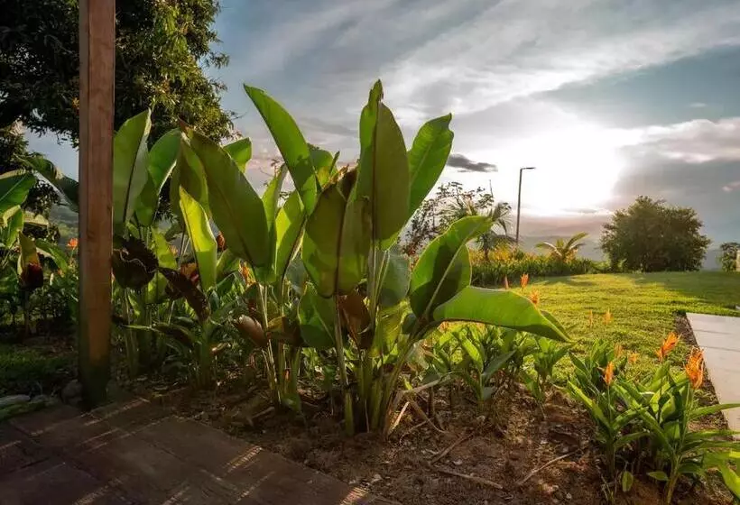 ホテル Quinta San Felipe