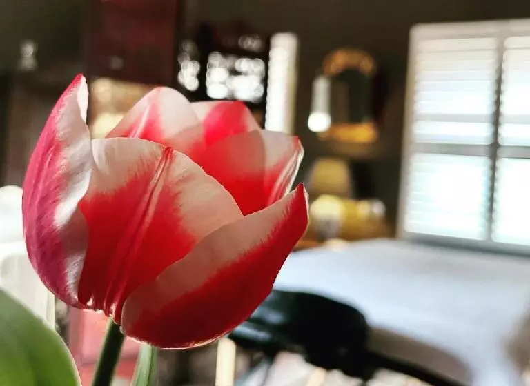 ペンション Bundanoon Bijou Southern Highlands Accommodation