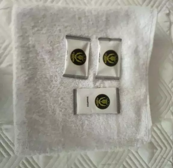 ペンション Cardos Hostal