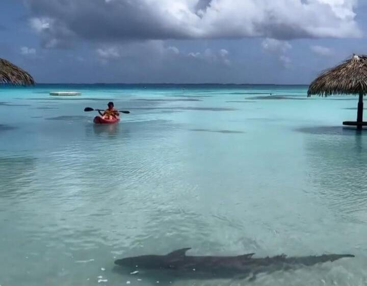 Eco Hotel Summer Beach