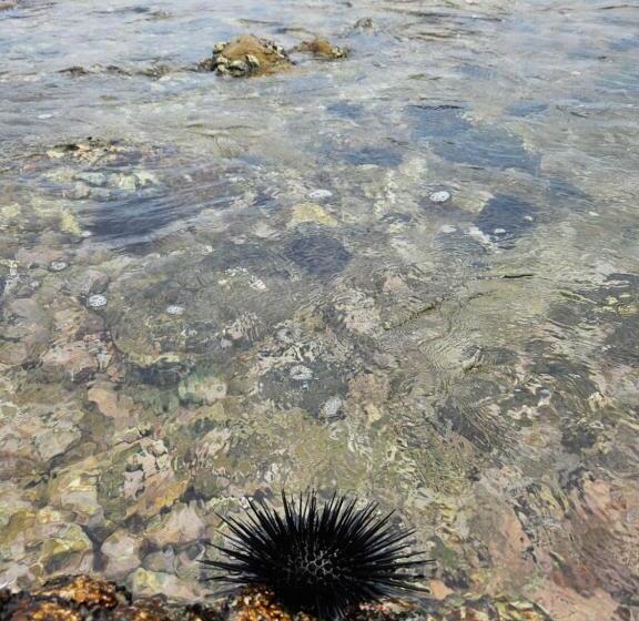 Отель Balance Beach Resort