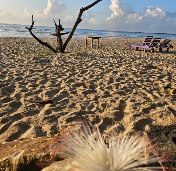 Отель Balance Beach Resort