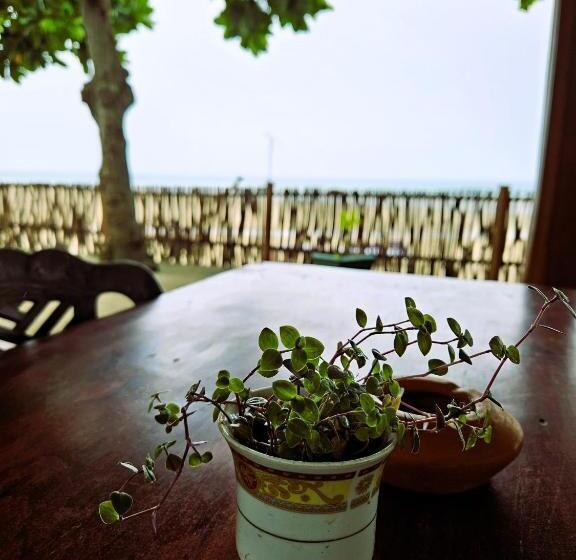 Отель Balance Beach Resort