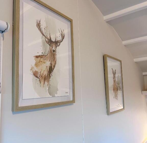 Hotel Capledrae Farmstay Shepherds Huts