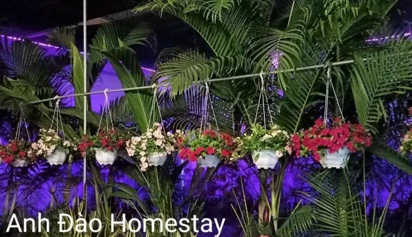 Motel Minh Tâm 28