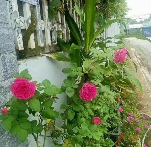 Motel Minh Tâm 28