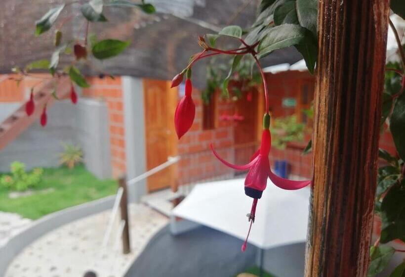 Panzió Hostal Famar