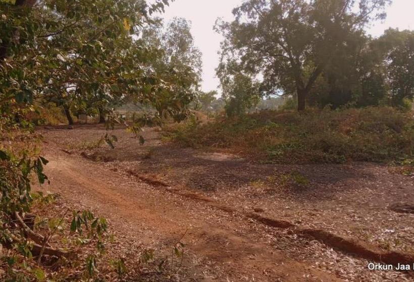 پانسیون Orkun Jaa Bungalow