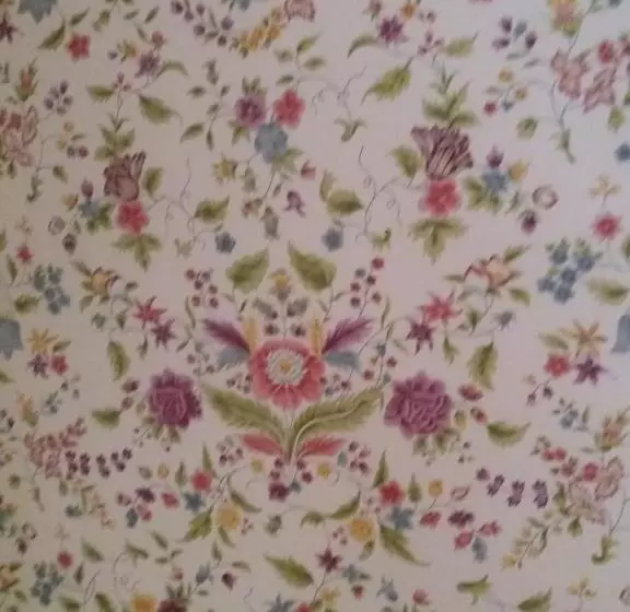 ベッドアンドブレックファースト Chateau Le Plessis