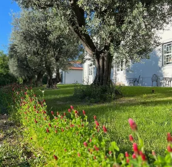 ベッドアンドブレックファースト Quinta Catrinandes   Retreat Center