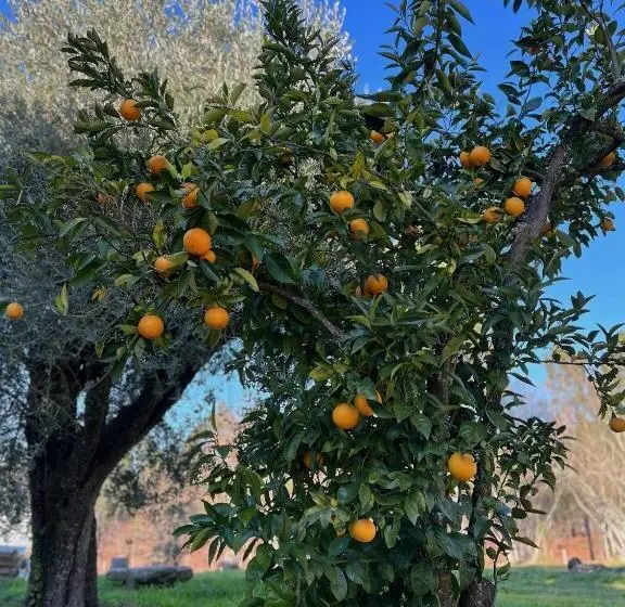 ベッドアンドブレックファースト Quinta Catrinandes   Retreat Center