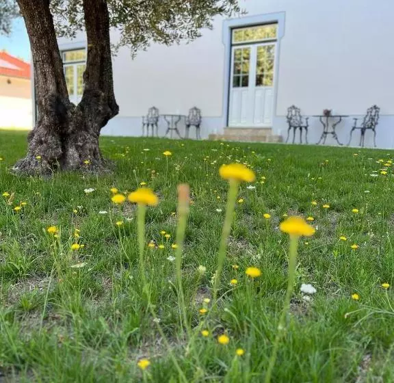 ベッドアンドブレックファースト Quinta Catrinandes   Retreat Center