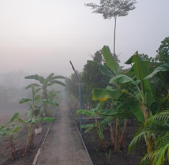 בית מלון כפרי Huai Ngu Farm Stay