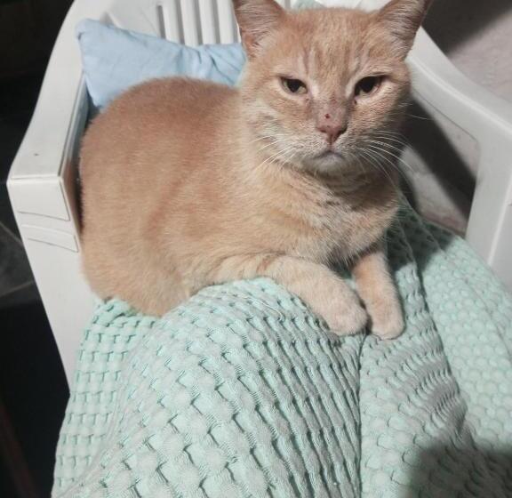 ペンション Halit Ev 2