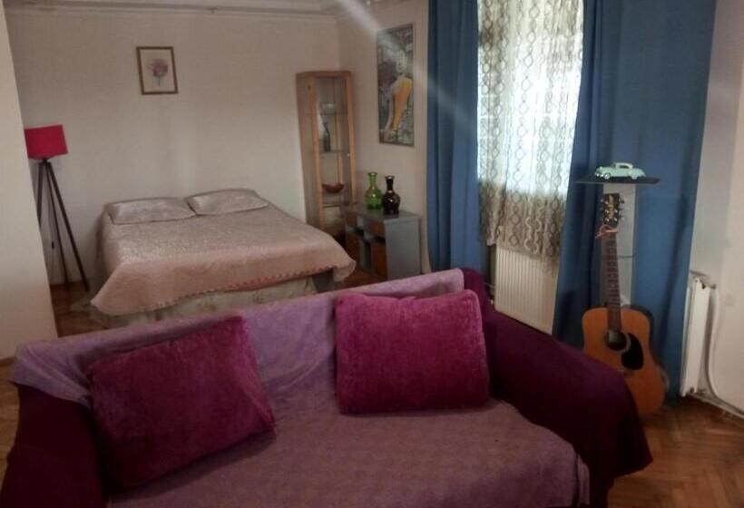 ペンション Halit Ev 2