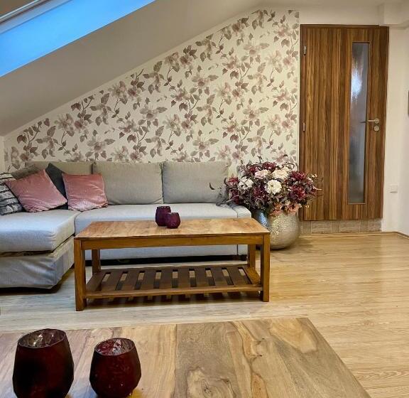 膳宿费 Statek U Kapličky