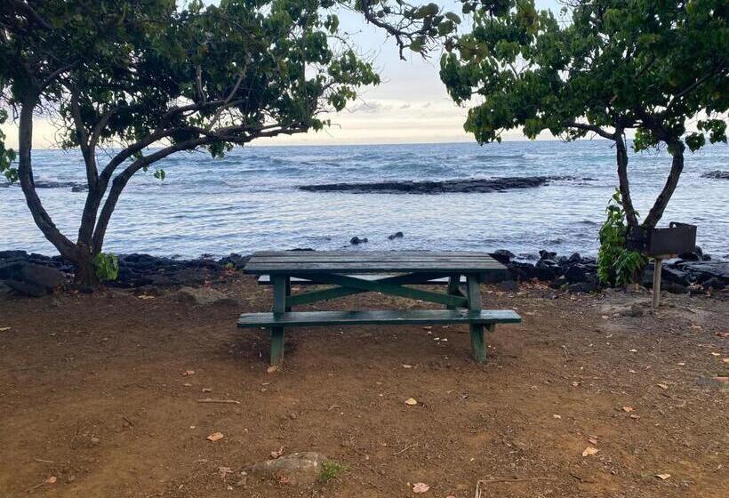 Bed and Breakfast Artsy Cabin On Organic Farm