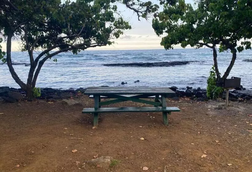 Aamiaismajoitus (B&B) Artsy Cabin On Organic Farm