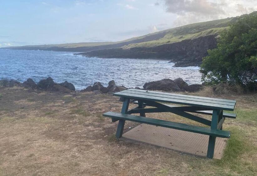 Bed and Breakfast Artsy Cabin On Organic Farm