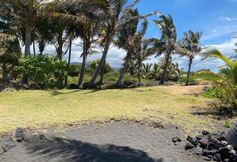 Bed and Breakfast Artsy Cabin On Organic Farm