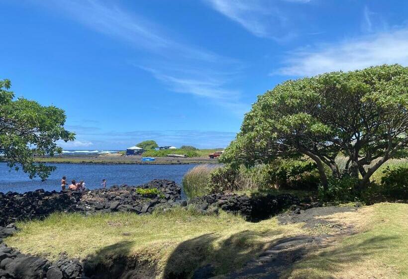 Bed and Breakfast Artsy Cabin On Organic Farm
