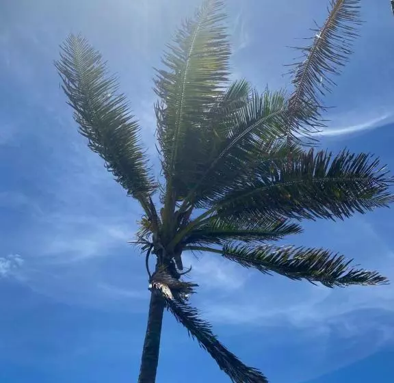 Aamiaismajoitus (B&B) Artsy Cabin On Organic Farm