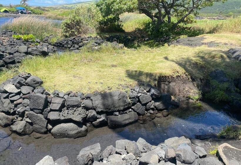 Bed and Breakfast Artsy Cabin On Organic Farm
