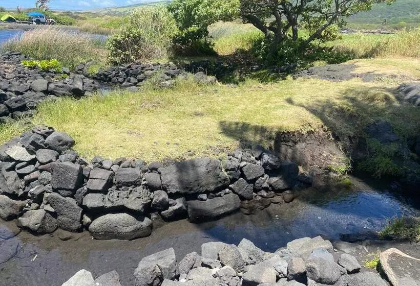 Aamiaismajoitus (B&B) Artsy Cabin On Organic Farm