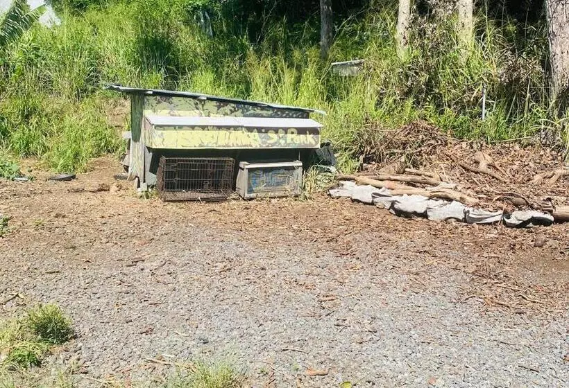 Aamiaismajoitus (B&B) Artsy Cabin On Organic Farm