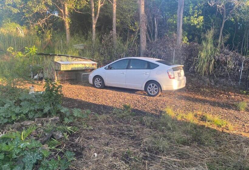 Bed and Breakfast Artsy Cabin On Organic Farm