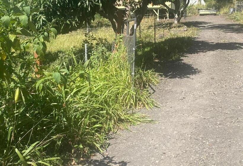 Bed and Breakfast Artsy Cabin On Organic Farm