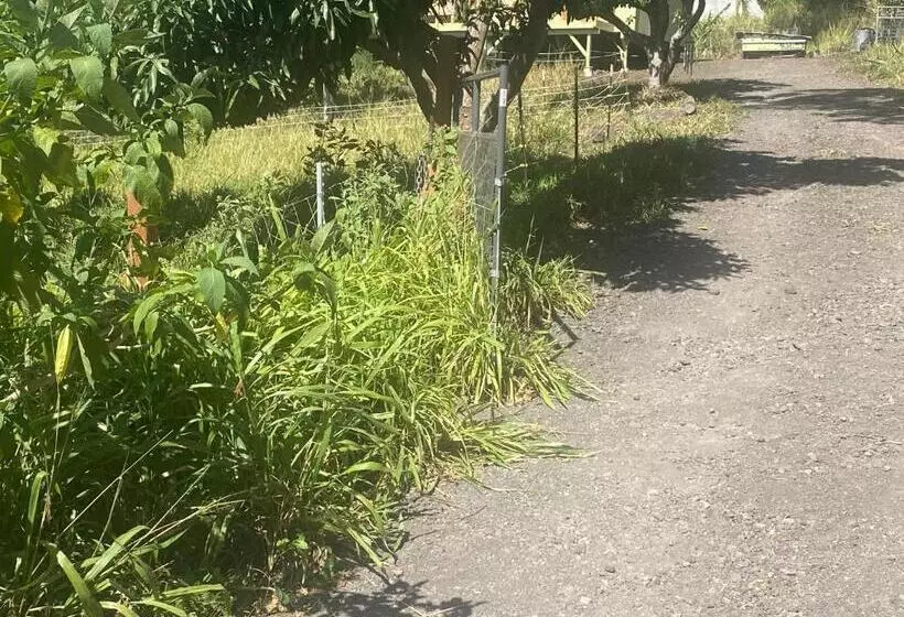 Aamiaismajoitus (B&B) Artsy Cabin On Organic Farm