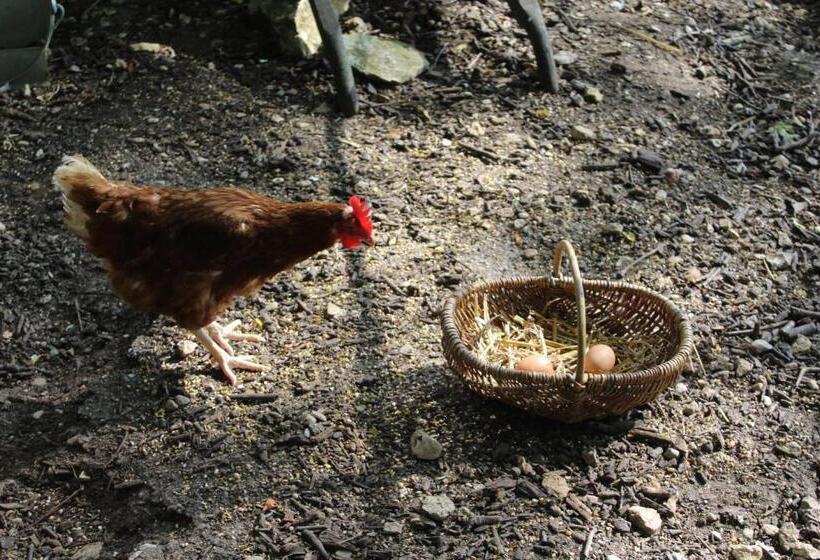 צימר Au Bois Noël   Le Cerisier