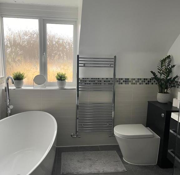 Bed & Breakfast Cityscape Executive House