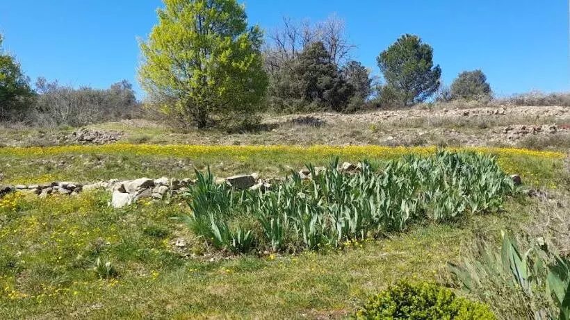 Aamiaismajoitus (B&B) La Picholine Chambre Provence