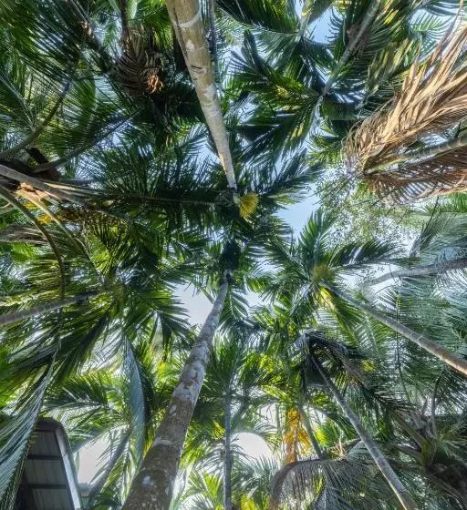 Hotelli Ll Empyrean Stay Ll Coconut Beach Farm Resort Ll