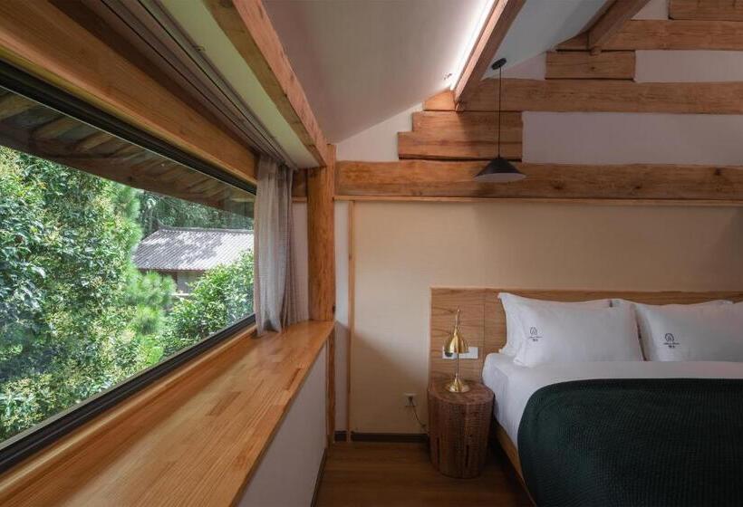 Lijiang Man She Snow Mountain View Designer B&b