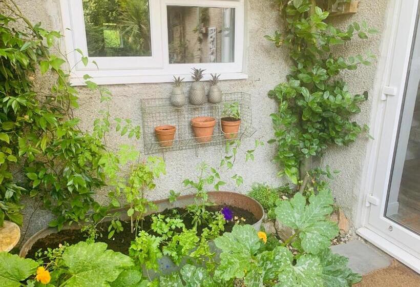 Bed and Breakfast Molesworth Arms Pyworthy