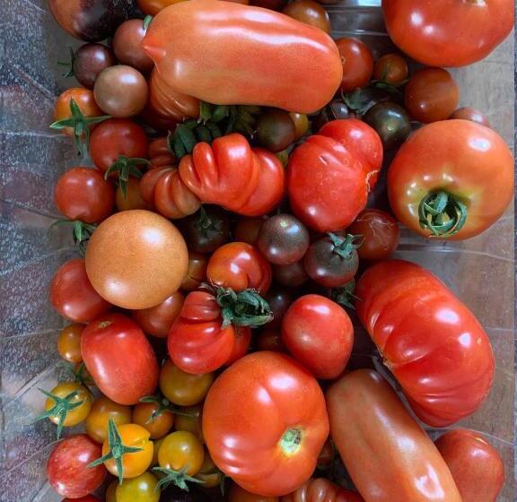 住宿加早餐 Molesworth Arms Pyworthy