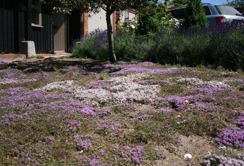 住宿加早餐  Reeds Barn