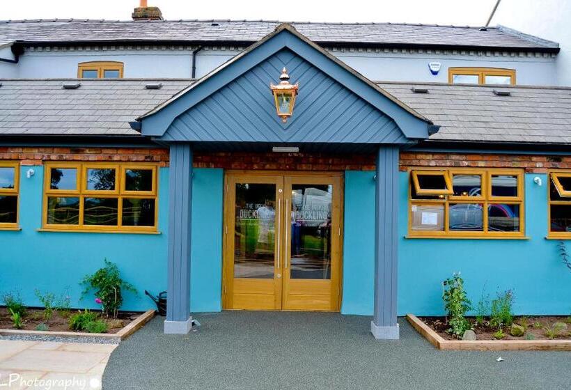 Bed and Breakfast The Ugly Duckling